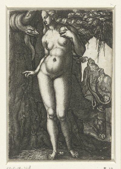 Eva alkotó: Albrecht Dürer