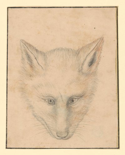 Rókafej, elölről alkotó: Albrecht Dürer
