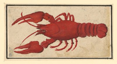  alkotó: Albrecht Dürer
