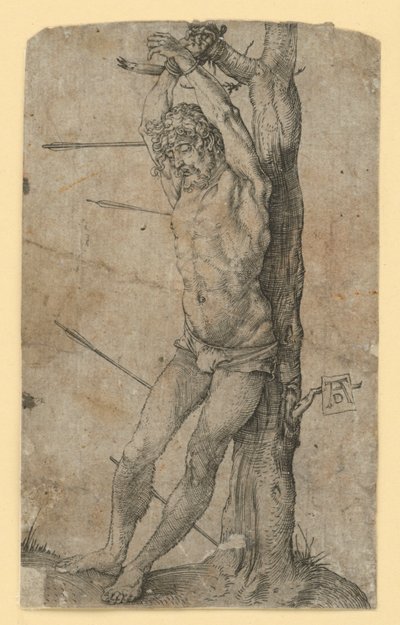  alkotó: Albrecht Dürer