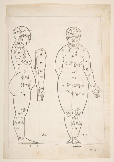 Illusztráció Dürer Négy könyvéből az emberi arányról, Nürnberg, 1528.n.d. alkotó: Albrecht Dürer