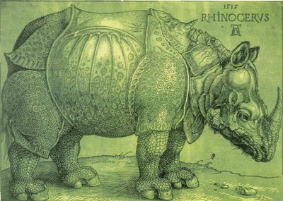 Latin:  Rhinocerus Az orrszarvú alkotó: Albrecht Dürer