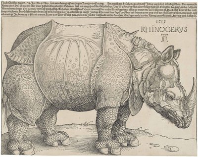 Latin:  Rhinocerus Az orrszarvú alkotó: Albrecht Dürer