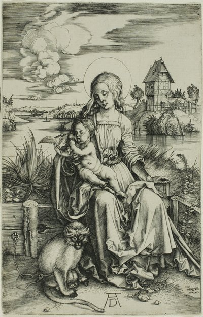 Madonna a majommal alkotó: Albrecht Dürer