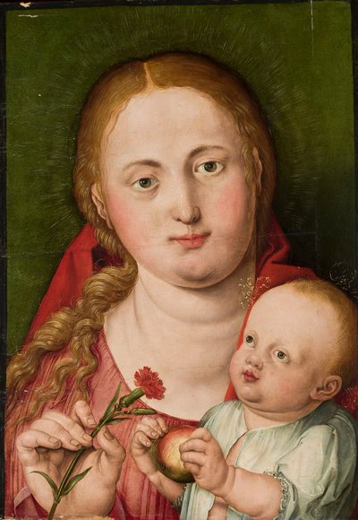 Madonna a Gyermekkel és egy szegfűvel alkotó: Albrecht Dürer