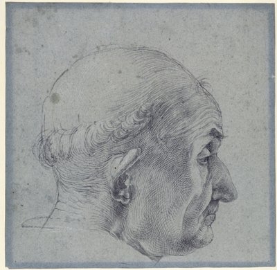 Férfi fej profilból alkotó: Albrecht Dürer