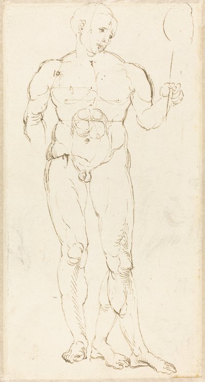 Férfi akt tükröt tartva [recto] alkotó: Albrecht Dürer