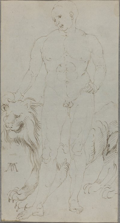 Férfi akt oroszlánnal [verso] alkotó: Albrecht Dürer