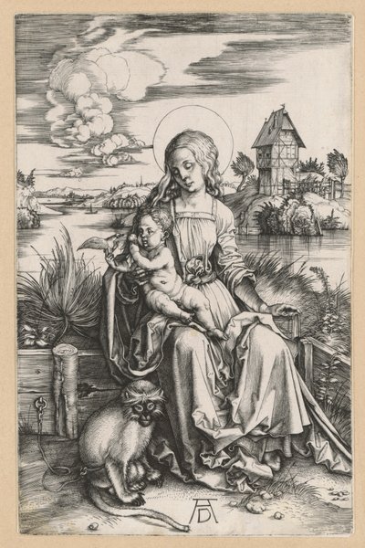 Mária a Gyermekkel és a tengeri majommal alkotó: Albrecht Dürer