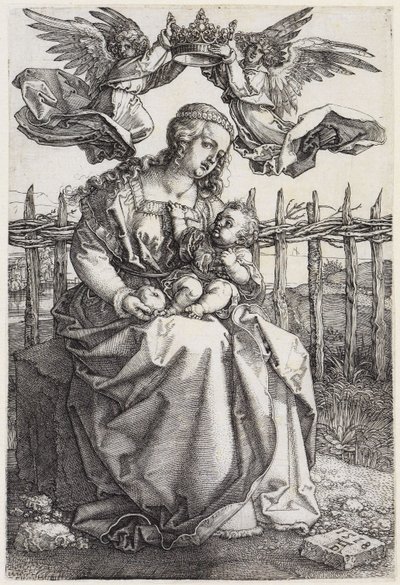  alkotó: Albrecht Dürer