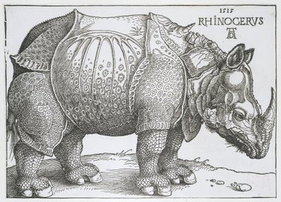 Neushoorn Rhinocerus (cím a tárgyon) alkotó: Albrecht Dürer