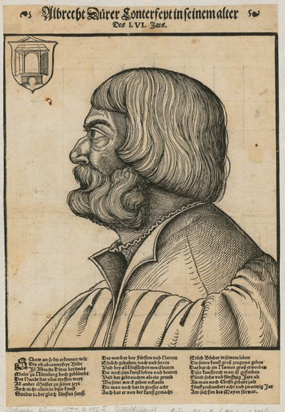 Albrecht Dürer portréja alkotó: Albrecht Dürer