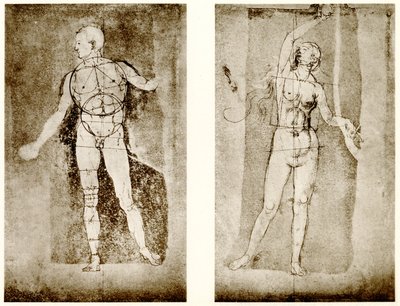Aránytanulmány Ádámról és Éváról alkotó: Albrecht Dürer