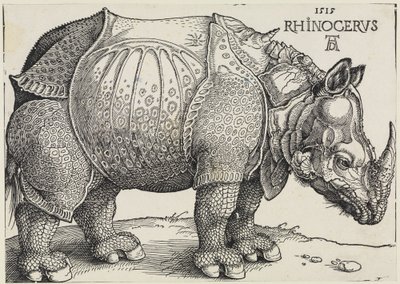  alkotó: Albrecht Dürer