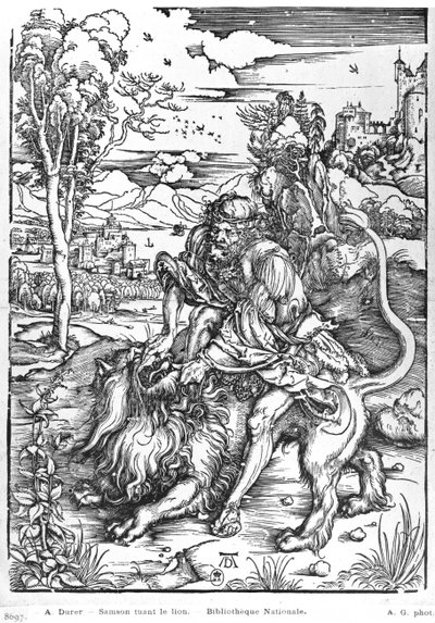 Sámson megöli az oroszlánt, 1496-98 körül alkotó: Albrecht Dürer