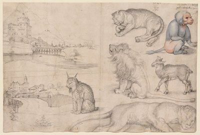  alkotó: Albrecht Dürer