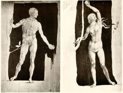Tanulmányok Ádámról és Éváról alkotó: Albrecht Dürer