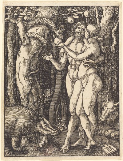  alkotó: Albrecht Dürer