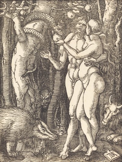 Az ember bukása, valószínűleg c. 15091510. alkotó: Albrecht Dürer