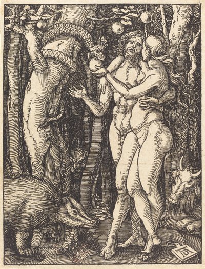 Az ember bukása, valószínűleg c. 15091510. alkotó: Albrecht Dürer
