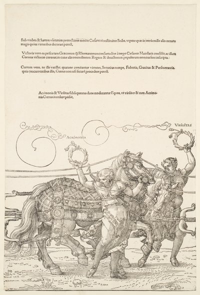  alkotó: Albrecht Dürer