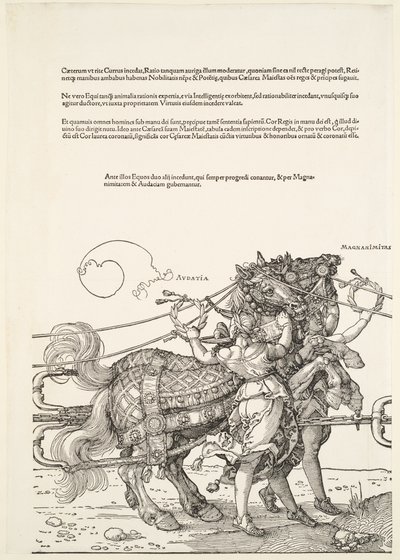  alkotó: Albrecht Dürer