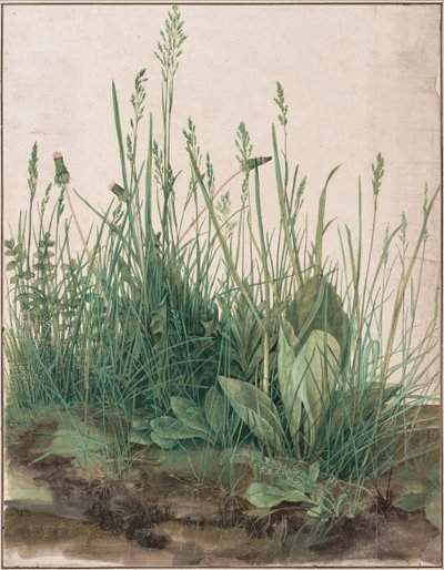 A nagy gyepdarab, 1503 alkotó: Albrecht Dürer