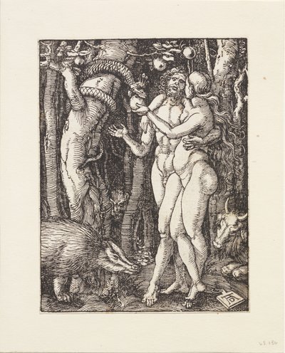  alkotó: Albrecht Dürer