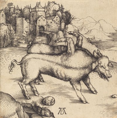 Landser szörnyű disznója, valószínűleg 1496. alkotó: Albrecht Dürer