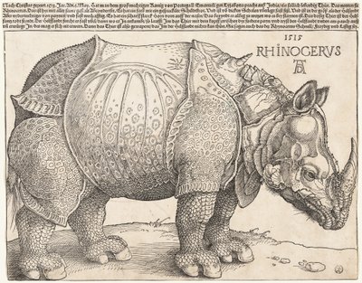  alkotó: Albrecht Dürer