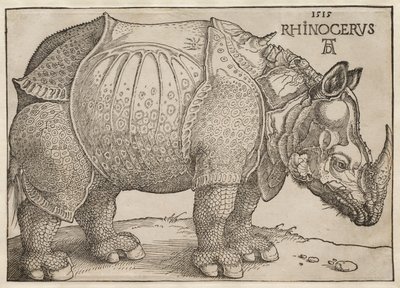  alkotó: Albrecht Dürer