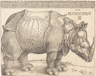 Az orrszarvú, 1515. alkotó: Albrecht Dürer