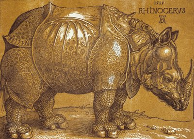 Az orrszarvú, 1515. alkotó: Albrecht Dürer
