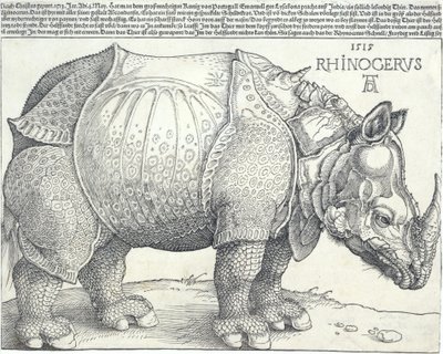 Az orrszarvú, 1515., 1515. alkotó: Albrecht Dürer
