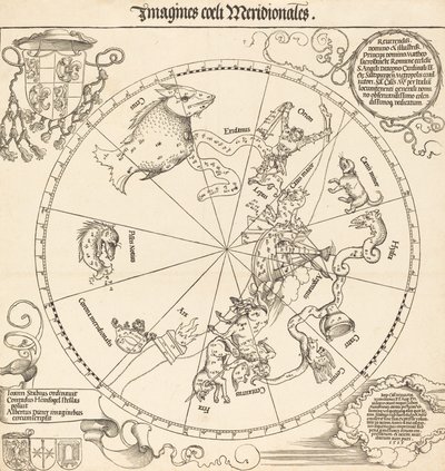 A déli égi félteke, 1515. alkotó: Albrecht Dürer