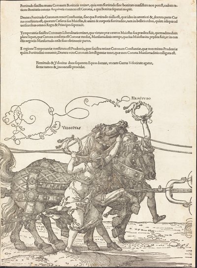Maximilian I diadalszekere (A nagy diadalkocsi) [8/5. tábla] alkotó: Albrecht Dürer