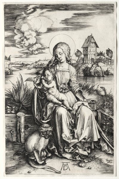 A szűz és a gyermek majommal alkotó: Albrecht Dürer