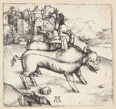 Landser szörnyű kocája alkotó: Albrecht Dürer