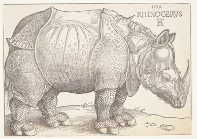 Az orrszarvú alkotó: Albrecht Dürer