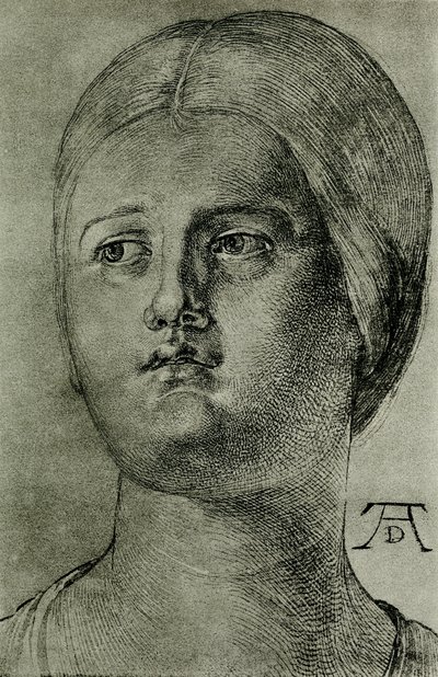 Velencei nő feje alkotó: Albrecht Dürer