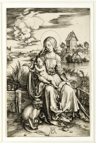 Szűz és gyermeke a majommal alkotó: Albrecht Dürer