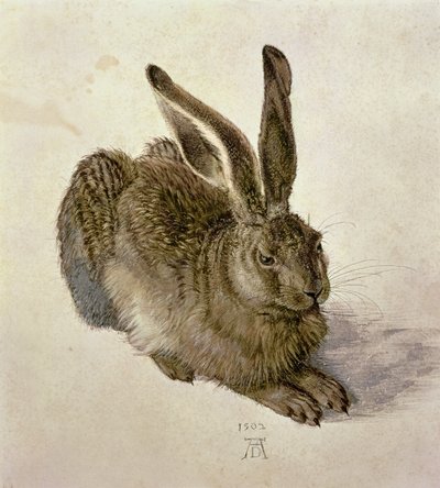 Fiatal Hare alkotó: Albrecht Dürer