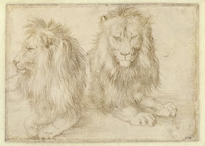  alkotó: Albrecht Dürer