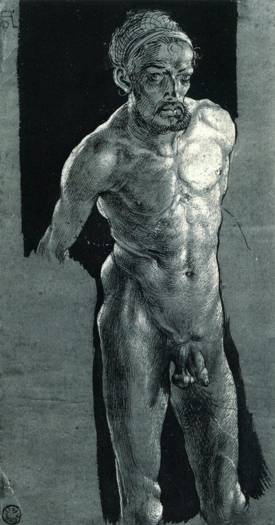 önarckép meztelenül alkotó: Albrecht Dürer