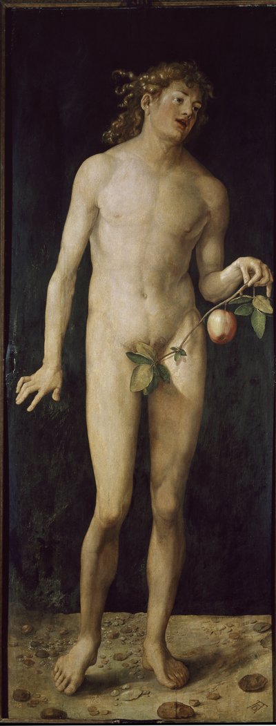 Ádám (olaj, fa alkotó: Albrecht Dürer