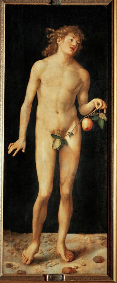 Adam alkotó: Albrecht Dürer or Duerer
