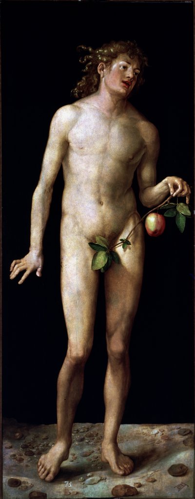  alkotó: Albrecht Dürer or Duerer