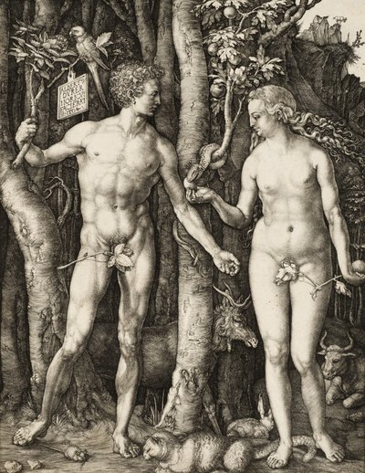 Ádám és Éva alkotó: Albrecht Dürer