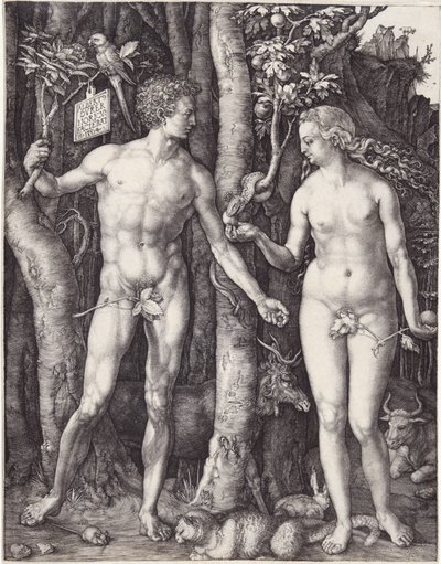 Ádám és Éva, kocsma. 1504 (metszet) alkotó: Albrecht Dürer