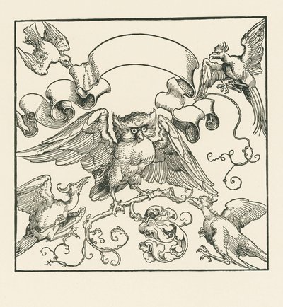 Egy bagoly, amelyet négy másik madár támad meg, 1515 körül (fametszet) alkotó: Albrecht Dürer or Duerer